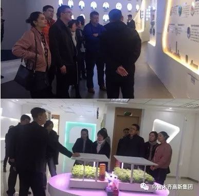 火炬创投开展“民族团结一家亲”参观联谊活动 推动创业投资领域多元融合