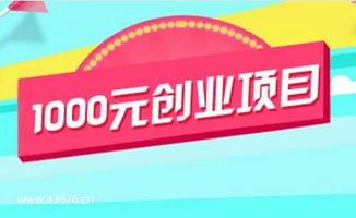 1000元创业项目 2019年1000元创业投资做什么好